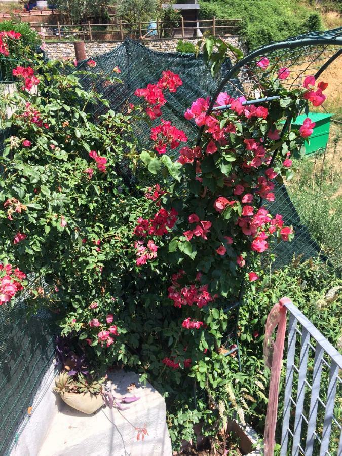 La Casina Delle Rondini Pension Corsanico-Bargecchia Buitenkant foto