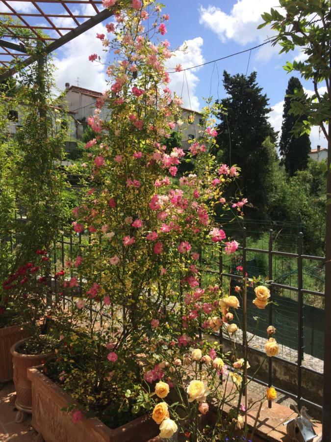 La Casina Delle Rondini Pension Corsanico-Bargecchia Buitenkant foto