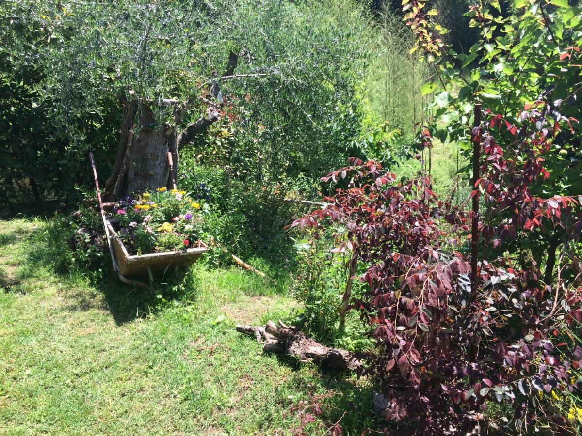 La Casina Delle Rondini Pension Corsanico-Bargecchia Buitenkant foto