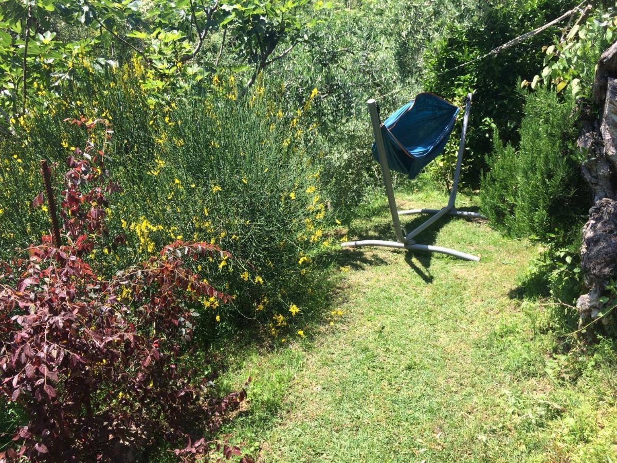 La Casina Delle Rondini Pension Corsanico-Bargecchia Buitenkant foto